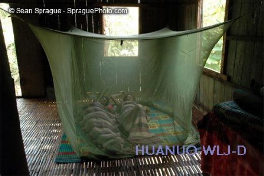 Pregnant Insecticide Treated Mosquito Nets